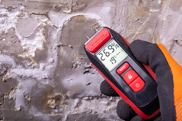 Best Mold Testing  in Leesville, LA