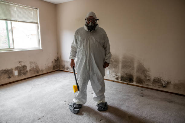 Best Black Mold Removal  in Leesville, LA
